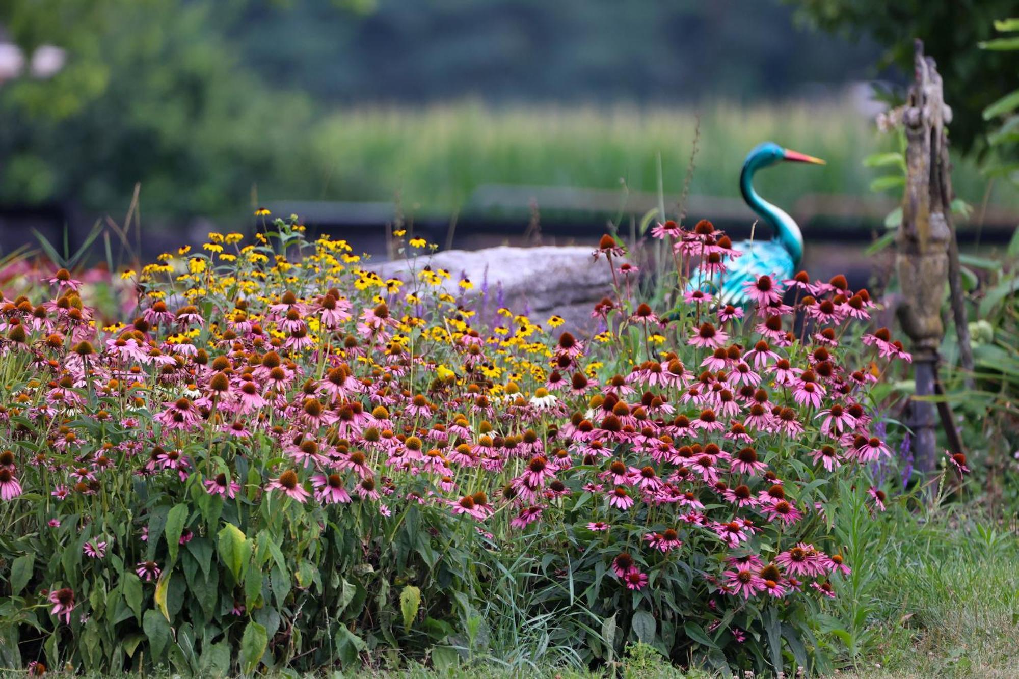Pheasant Field Bed And Breakfast Carlisle Exteriér fotografie
